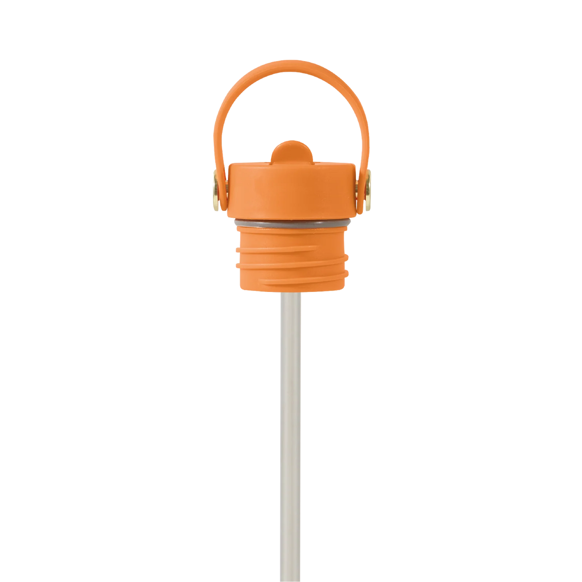 Field Bottle Sip Lid & Metal Straw / Orchard Orange