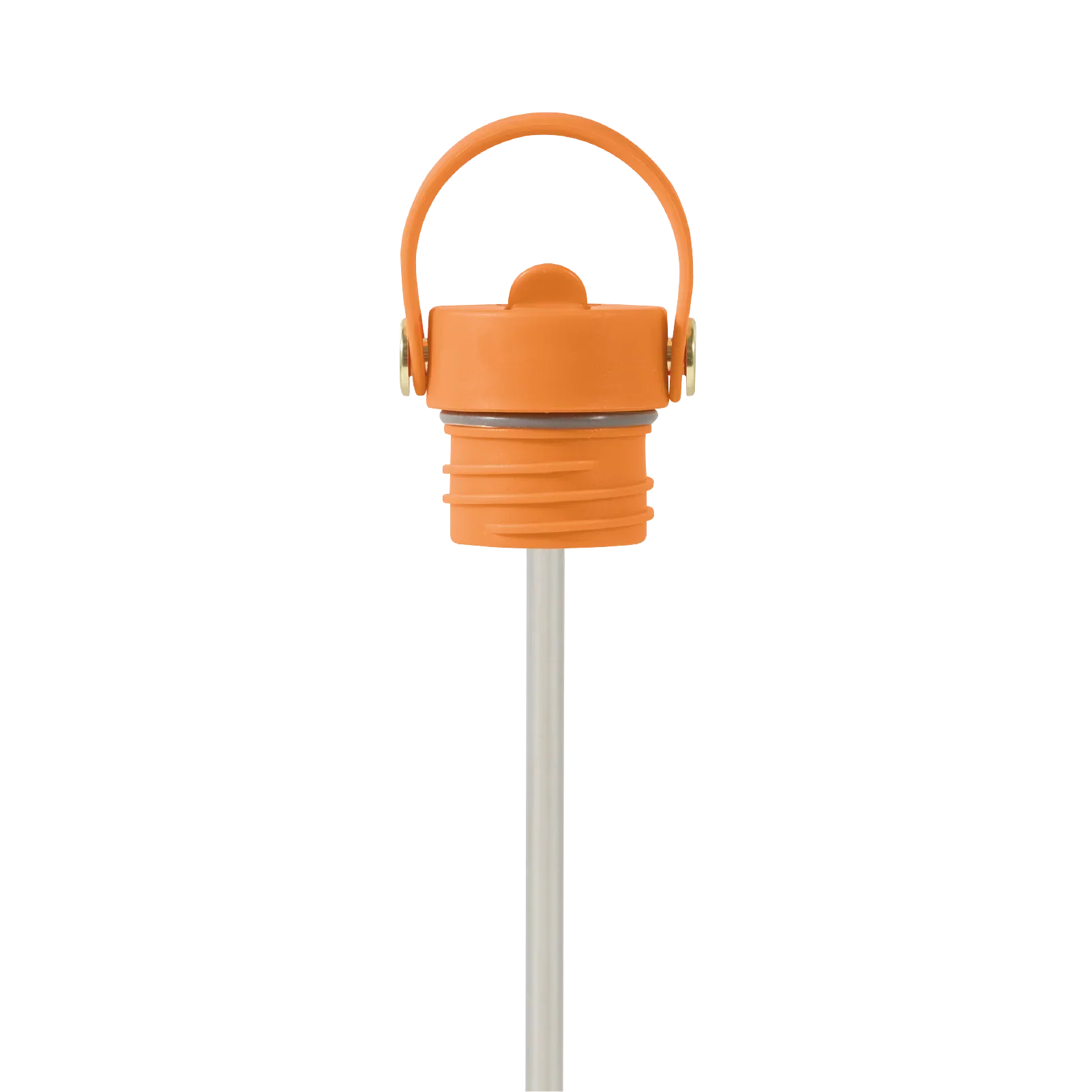 Field Bottle Sip Lid & Metal Straw / Orchard Orange
