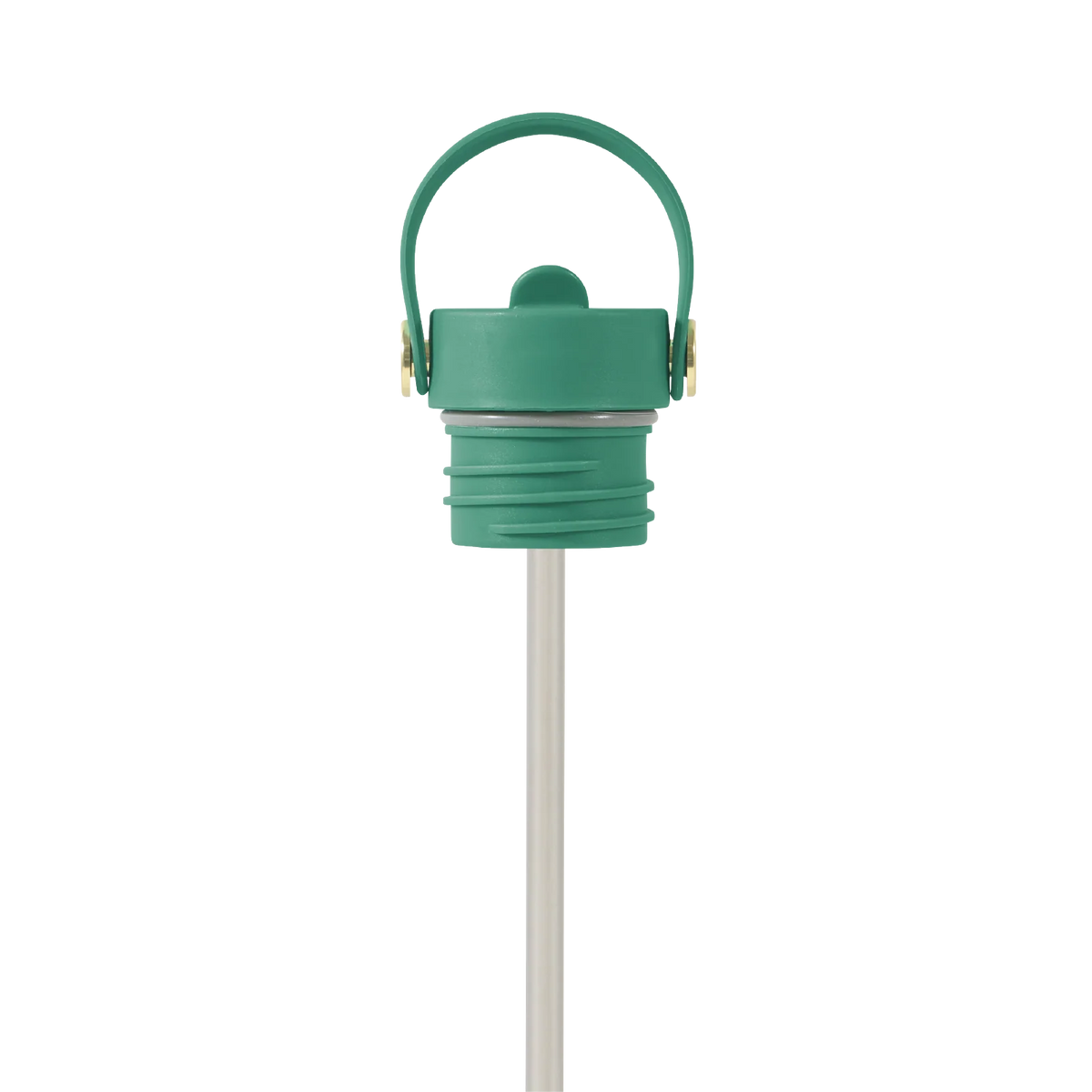 Field Bottle Sip Lid & Metal Straw / Parisian Green