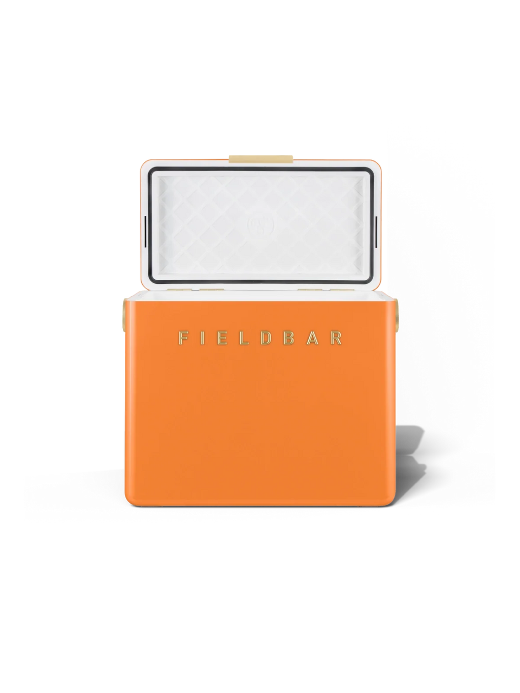 Gin Trunk / Orchard Orange