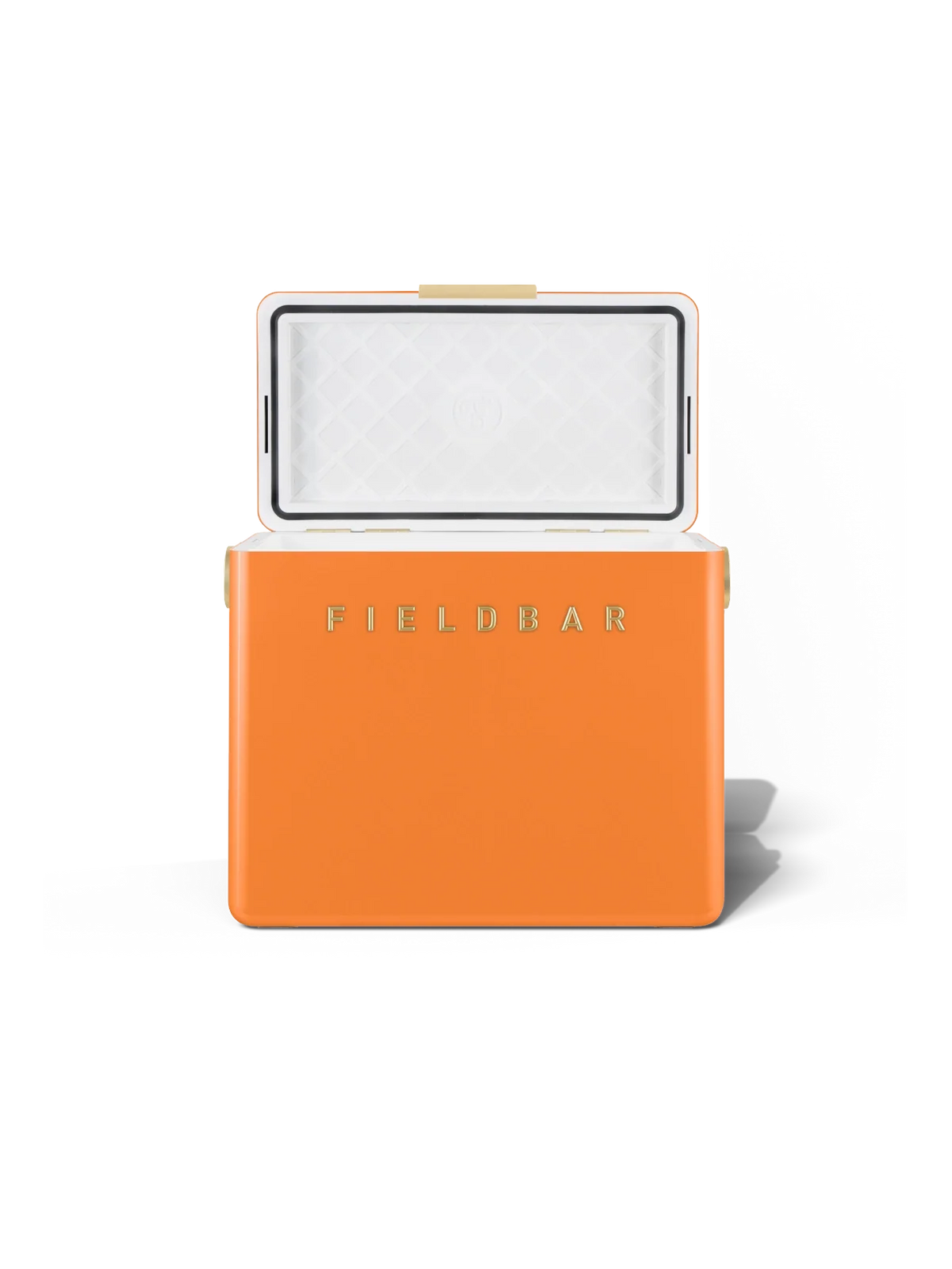Gin Trunk / Orchard Orange